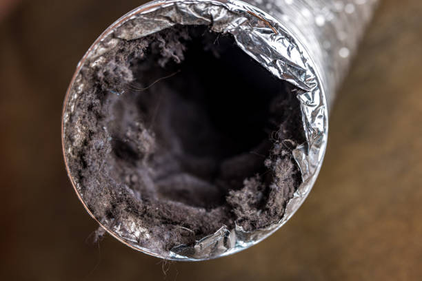 Best Professional Duct Cleaning Services  in Sloan, IA