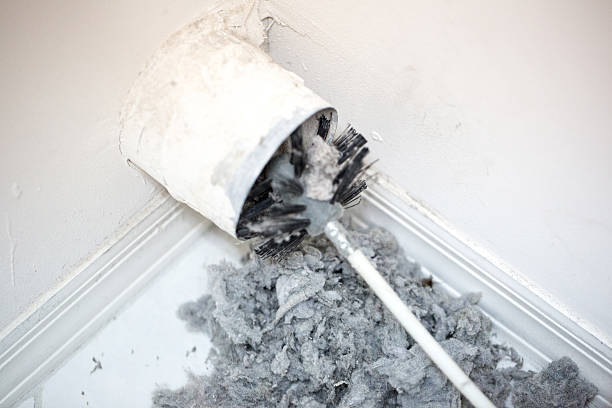 Best Local Air Duct Cleaning Services  in Sloan, IA
